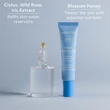 Kép 3/7 - APIVITA AQUA BEELICIOUS Hidratáló Szemkörnyékápoló gél 15 ml