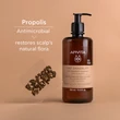 Kép 2/7 - APIVITA Sampon ECO  száraz korpa ellen 500 ml
