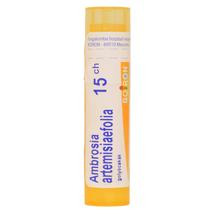 Ambrosia Artemisiaefolia golyócskák 15CH 4g