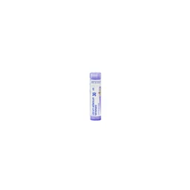 Calcium Carbonicum Hahnemanni golyócskák 30CH 4g  (Calcarea carbonica)