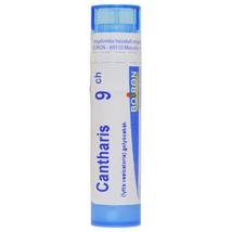 Cantharis golyócskák 9CH 4g