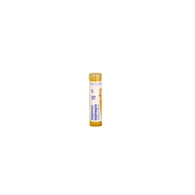 Delphinium Staphisagria golyócskák 15CH 4g