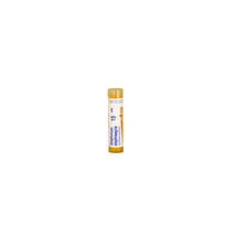 Delphinium Staphisagria golyócskák 15CH 4g
