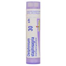 Delphinium Staphisagria golyócskák 30CH 4g