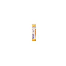 Hypericum Perforatum golyócskák 15CH 4g