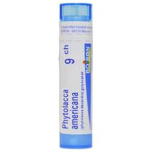Phytolacca Americana golyócskák 9CH 4g