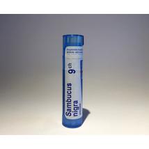 Sambucus Nigra golyócskák 9CH 4g