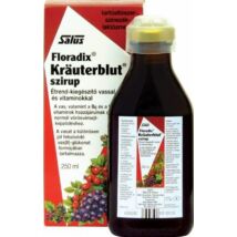 Floradix Krauterblut Szirup 250ml