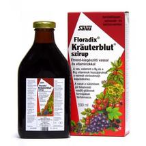Floradix Krauterblut Szirup 500ml
