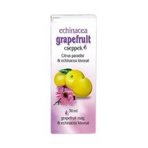 Dr Chen Grapefruitmag cseppek Echinaceával 30ml
