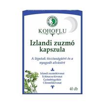 Dr Chen Kohoflu izlandi zuzmó kapszula- Éjszaka 40x