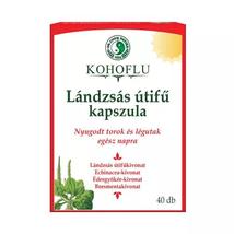 Dr Chen Kohoflu lándzsás útifű kapszula -Nappal 40x