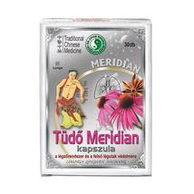 Dr Chen Tüdő Meridian kapszula 30x