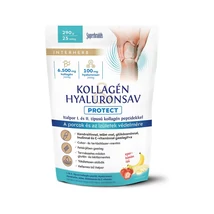 Interherb Kollagén & Hyaluronsav PROTECT italpor eper-banán ízű 290 g 25 adag