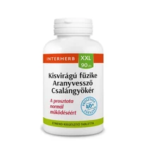 Interherb XXL 90x Kisvirágú füzike&Aranyvessző&Csalángyökér kapszula