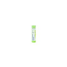 Acidum Arsenicum Anhydricum Golyócskák 5CH 4g