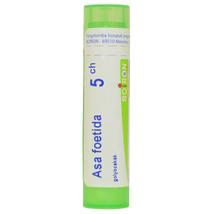 Asa Foetida Golyócskák 5CH 4g