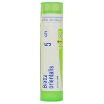 Blatta Orientalis Golyócskák 5CH 4g