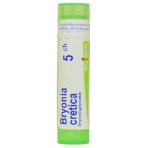 Bryonia Cretica Golyócskák 5CH 4g