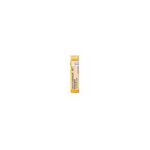 Calcium Carbonicum Hahnemanni Golyó 15CH (Calcarea Carbonica) 4g