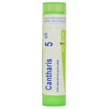 Cantharis Golyócskák 5CH 4g