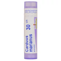 Carduus Marianus Golyócskák 30CH 4g