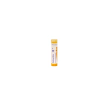 Colocynthis Golyócskák 15CH 4g