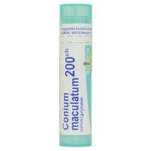 Conium Maculatum Golyócskák 200CH 4g