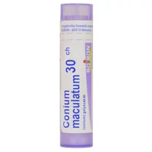 Conium Maculatum Golyócskák 30CH 4g