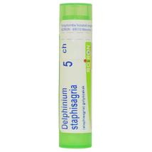 Delphinium Staphisagria Golyócskák 5CH 4g