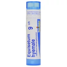 Equisetum Hyemale Golyócskák 9CH 4g