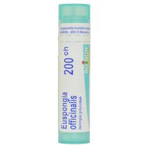 Euspongia Officinalis Golyócskák 200CH 4g