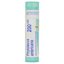 Phytolacca Americana Golyócskák 200CH 4g