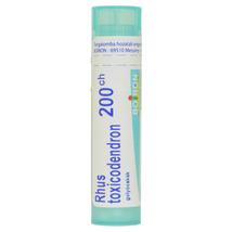 Rhus Toxicodendron Golyócskák 200CH 4g