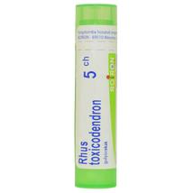 Rhus Toxicodendron Golyócskák 5CH 4g
