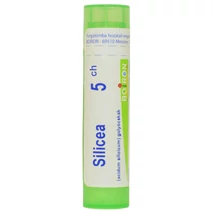 Silicea Golyócskák 5CH 4g