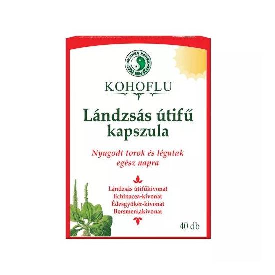 Dr Chen Kohoflu lándzsás útifű kapszula -Nappal 40x