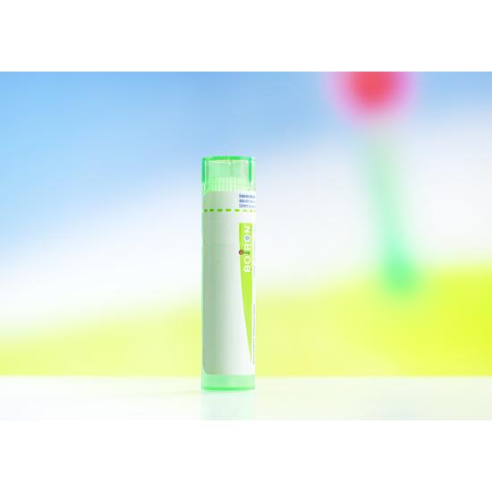 Equisetum Hyemale Golyócskák 5CH 4g